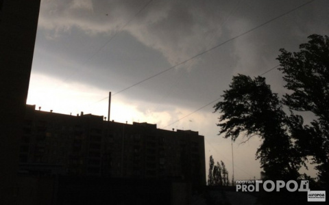 Во Владимире ожидают крепкий ветер