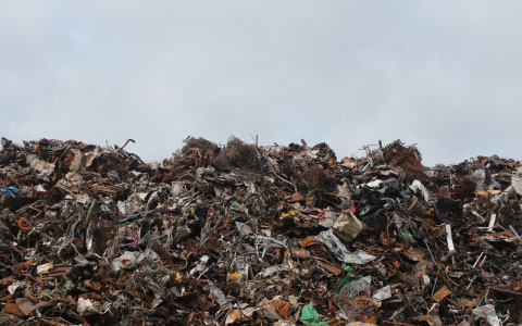 Московский мусор будут официально завозить во Владимирскую область