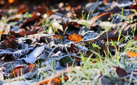 Синоптики предупреждают владимирцев о сильном ветре