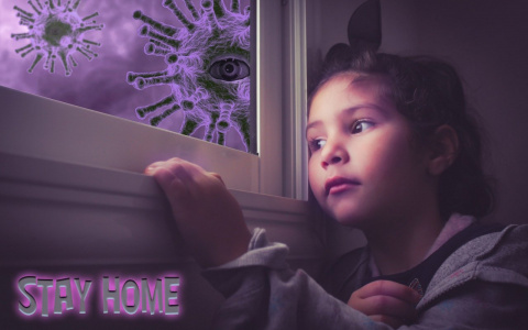 114 человек заболели коронавирусом во Владимирской области за сутки