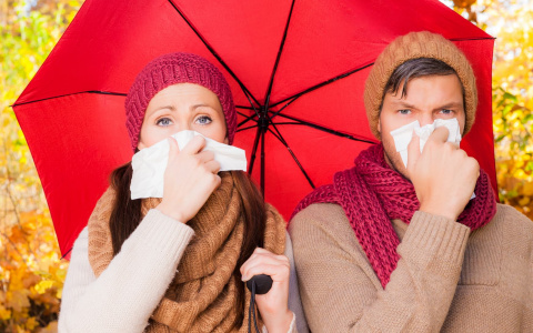 Депрессия, ОРВИ, язва: какие еще болезни обостряются у владимирцев осенью?