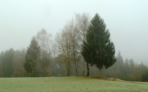 Синоптики пообещали владимирцам высокое атмосферное давление в среду