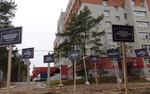 Во владимирской ОКБ появилось "мемориальное кладбище сипягинской медицины"