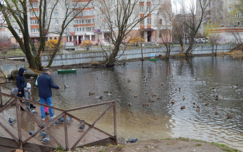 "Утки улетят - тогда и зима начнется!"