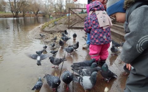 Погода на неделю: что говорит главный синоптик страны