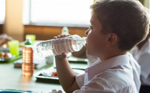 Российским школьникам запретят есть макароны по-флотски и блинчики