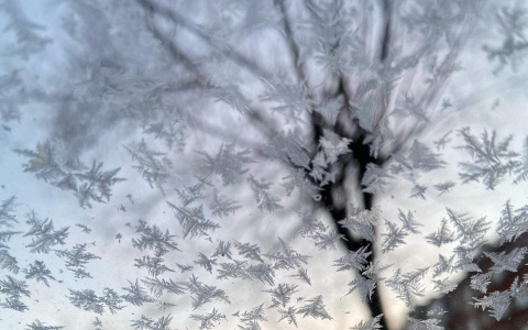Сегодня во Владимире самый морозный день недели