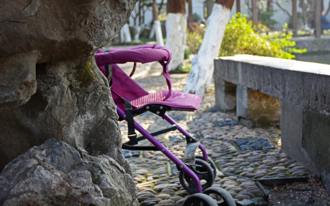 Во Владимирской области мужчина украл коляску у многодетной матери