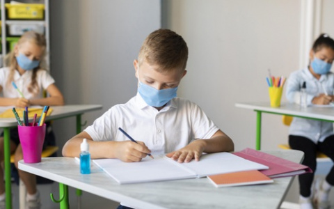 Школьников Владимирской области не планируют переводить на дистанционку