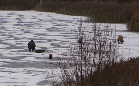 "Лед уже крепкий, я вешу мало": владимирцы рискуют жизнью ради улова