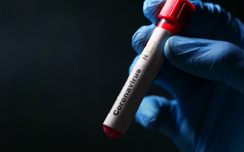 Свежая статистика covid-19