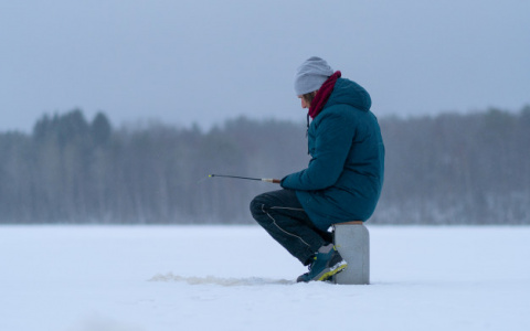 В Ковровском районе заблудившегося рыбака искали волонтеры, егеря и полиция