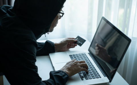 Владимирские мошенники продавали несуществующего щенка