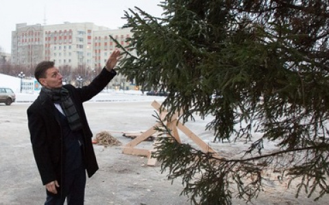 Владимирские экоактивисты попросили заменить живую ель у Белого дома на искусственную