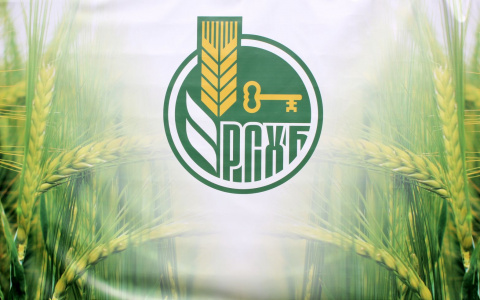 Россельхозбанк запускает новогоднюю акцию «Подарки возвращаются с UnionPay»