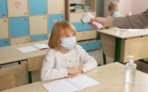На карантин детей из школ и садов чаще всего отправляют из-за педагогов