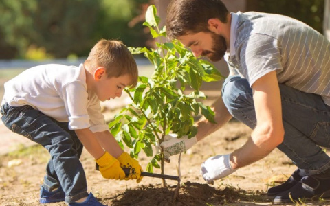Разбираетесь ли вы в строительстве? А в терминах строителей? Пройдите тест для настоящих мужчин