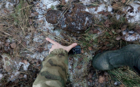 Во Владимирской области нашли следы редких краснокнижных животных