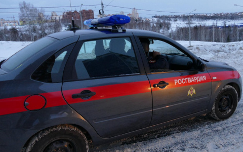 В Муроме пьяный водитель сбил женщину и попытался скрыться