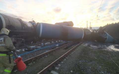 Стал известен уровень загрязнения почвы у станции "Новки" после аварии