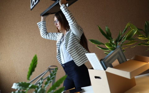 Как быть, если COVID-19 лишил владимирцев работы?