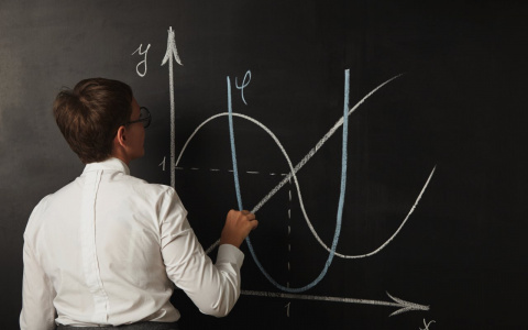 Во Владимирской области директора школ скрывают свои доходы и землю