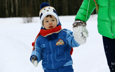 На сайте Госуслуг появилась и пропала информация о новой выплате в 10 000