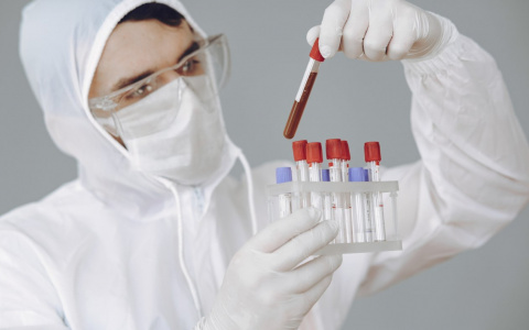 Коронавирус во Владимирской области: 185 случаев заражения за сутки