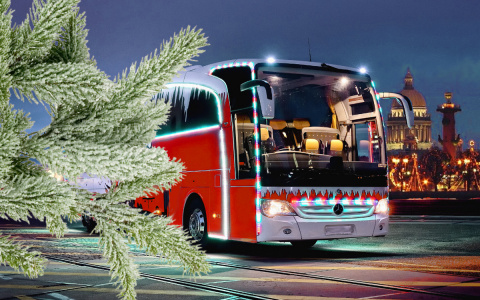 «Пристегнитесь, едем»: как организовать детские поездки во Владимире