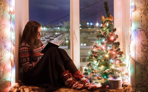 В России новогодние каникулы предложили перенести на май