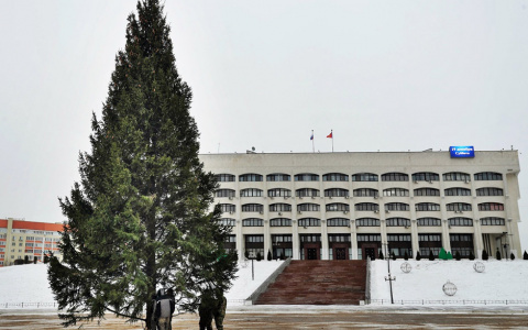 Во Владимире установили ель высотой с 7-этажный дом