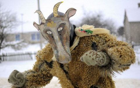 Надеваем вывернутый тулуп, берем козу и идем по соседям за подарками