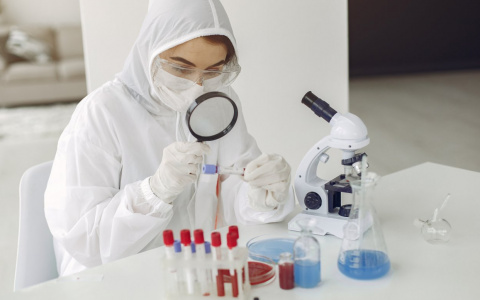 Коронавирус во Владимирской области: число заражений и смертей за сутки остаётся высоким