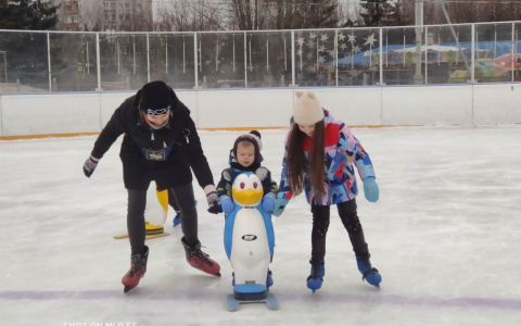 Как во Владимире работают городские катки?