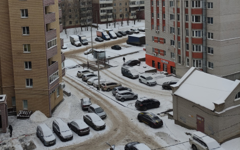 Владимирцев ждет ультраполярное вторжение