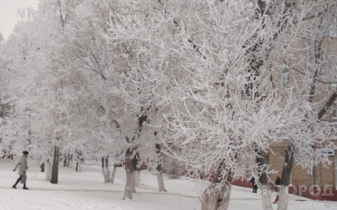 Погода во Владимире: синоптики предупреждают о неприятных сюрпризах