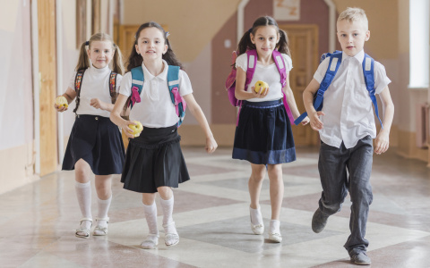 Школьники Владимирской области завтра сядут за парты