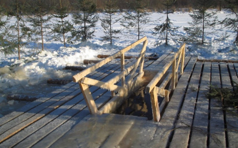 В Роспотребнадзоре высказались о Крещенских купаниях во Владимире