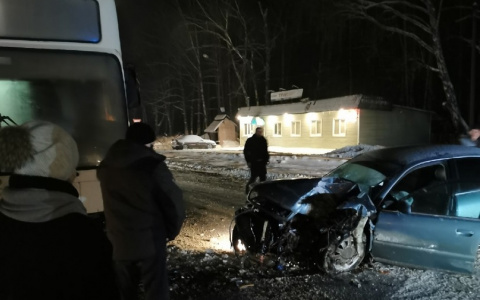 Под Владимиром пьяный водитель спровоцировал ДТП и убежал в лес
