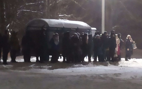 В мэрии Владимира отреагировали на недовольство горожан работой автобусов