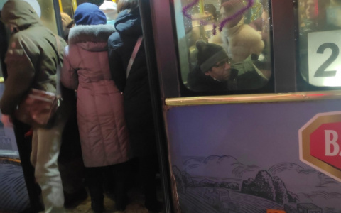 Из-за плохой работы городского транспорта во Владимире женщина получила травму