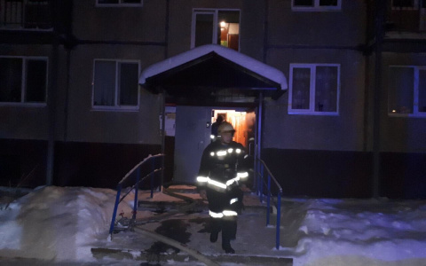 Во Владимирской области погибла женщина, спасая ребёнка из горящего дома