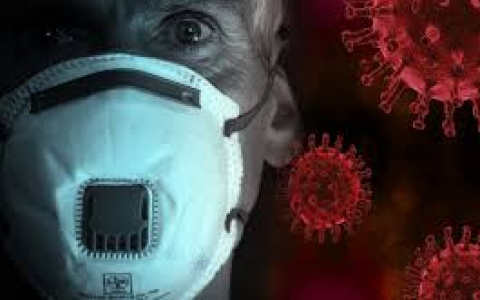 Коронавирус во Владимирской области: за сутки умерли 8 человек