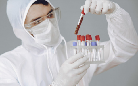 Во Владимирской области от коронавируса умерли ещё 7 человек