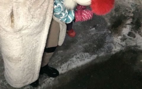 "Чтобы отвести детей в садик, нужно переносить их через настоящие реки"