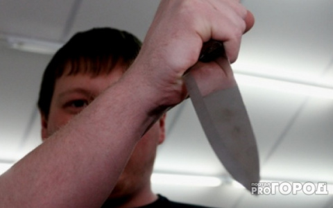 Житель Суздаля, обороняясь, нанёс знакомому 12 ударов ножом