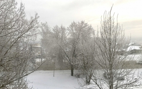 Какой погоды ждать владимирцам 2 февраля?