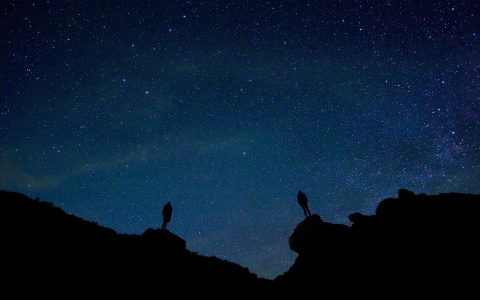 Китайский гороскоп на 2021 год по году рождения