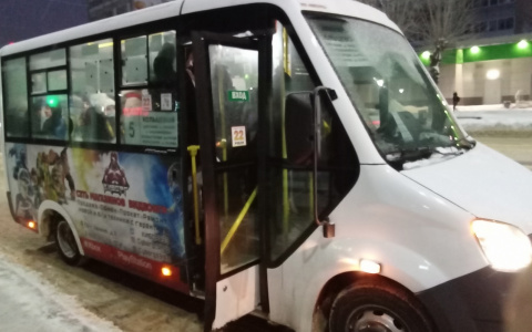 Во Владимире ребёнка высадили из маршрутки на мороз