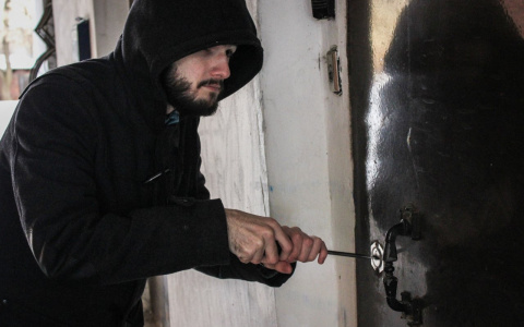 Житель Покрова сразу после освобождения совершил 15 краж